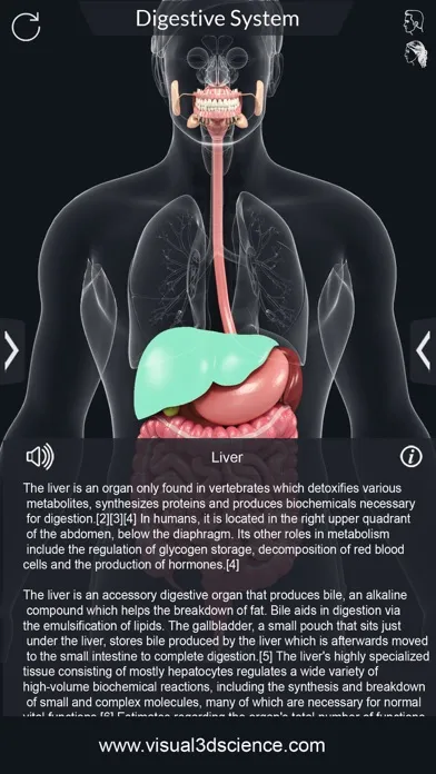 تصاویر My Digestive System Anatomy
